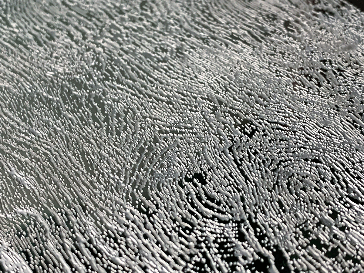Stacks Image 7